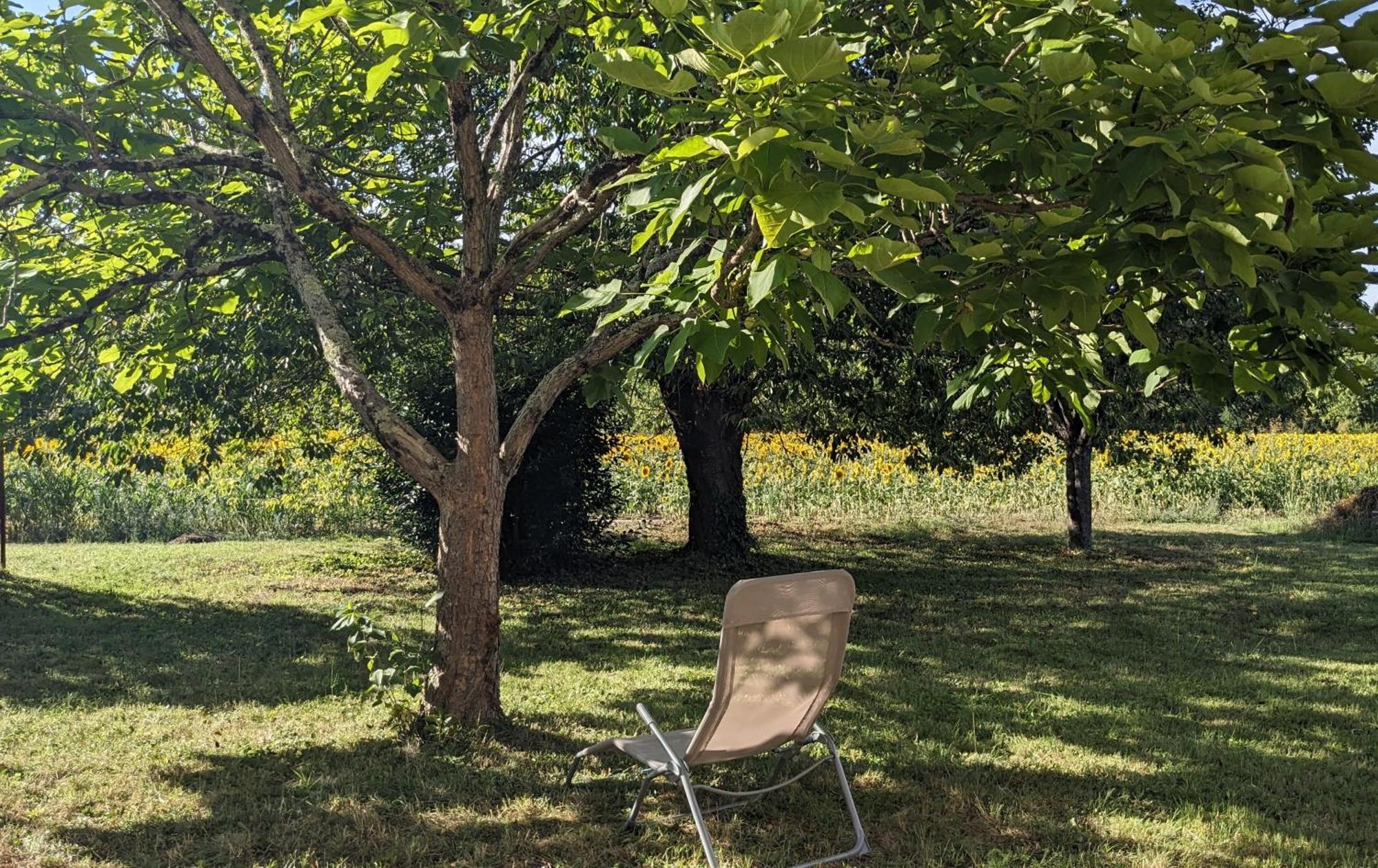 Maison Au Calme En Dordogne Trémolat Zewnętrze zdjęcie